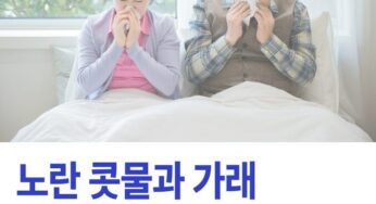 노란 콧물 가래 나오는 이유와 치료 방법에 대해 알고 가세요.